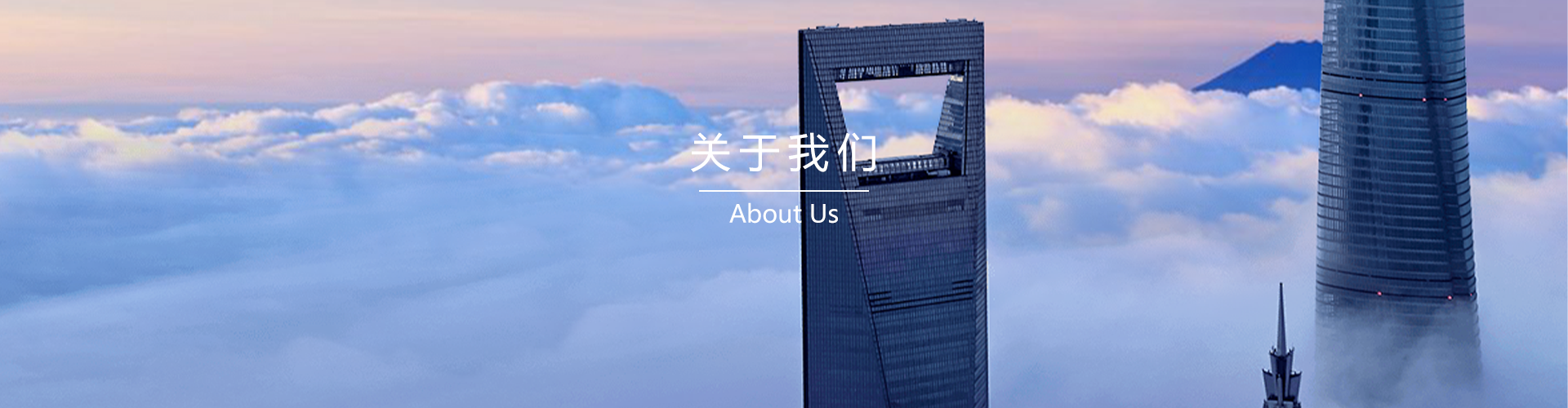 公司簡介